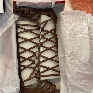 Gladiator Sandals  Carlos By Carlos Santana